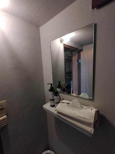 Bathroom 3, 敷島旅館, Saijō