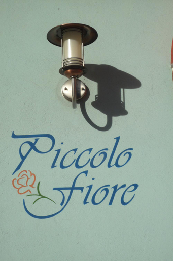 Others 5, Piccolo Fiore, Trento