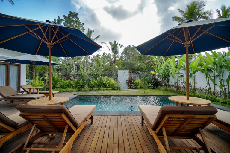 Swimming Pool 4