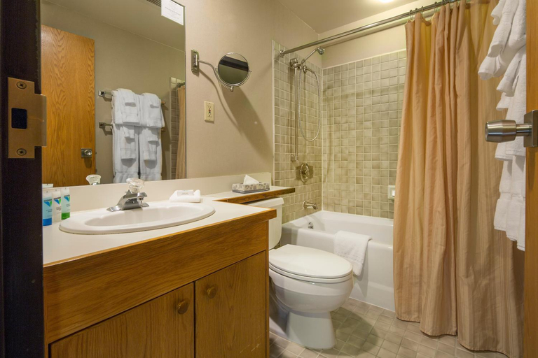 Bathroom, The Lodge at Snowbird, Salt Lake