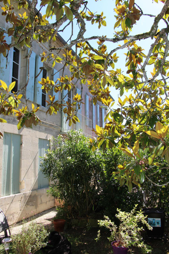 Others 5, Domaine L'Amourette, Gironde