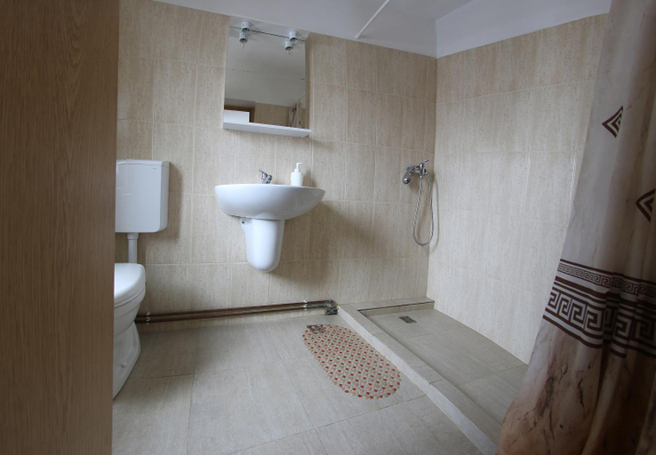 Bathroom, Pensiunea Colt de Munte, Corbeni