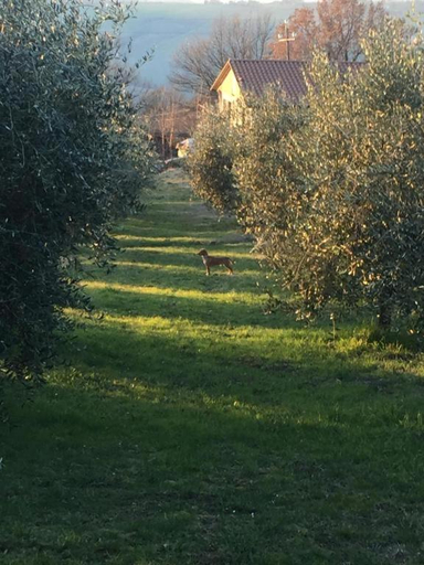 Others 2, Agriturismo Pane e Olio, Perugia