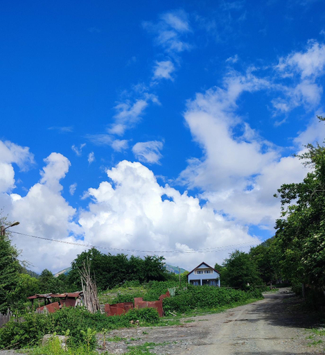Others 5, Tsknari Oda, Oni