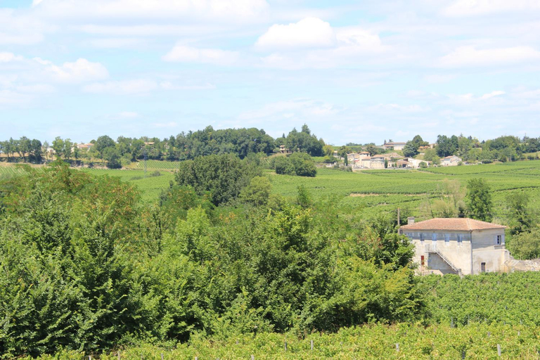 Others 3, Les charmes de Vincent - le loft Cabernet, Gironde