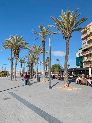 Others 4, Princesa Blanka by ZANIS, Alicante