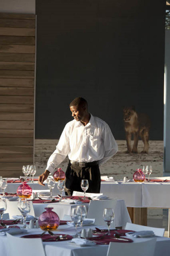 Food & Drinks 3, Emanya@Etosha, Guinas