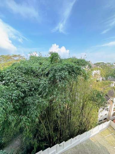 Scenery 8