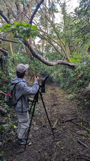 Others 5, Campos de Oro Wilderness Lodge, Abangares