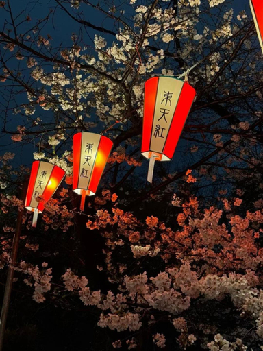 Others 5, Ueno Hotel Palazzto, Taitō