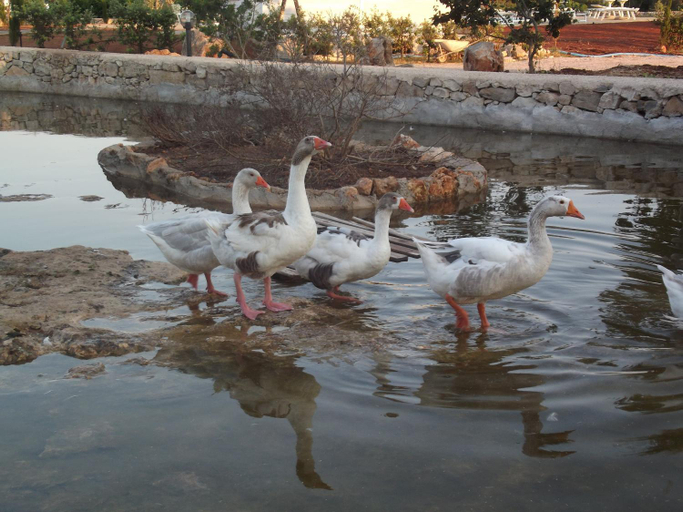 4, Agriturismo Zio Zac, Lecce