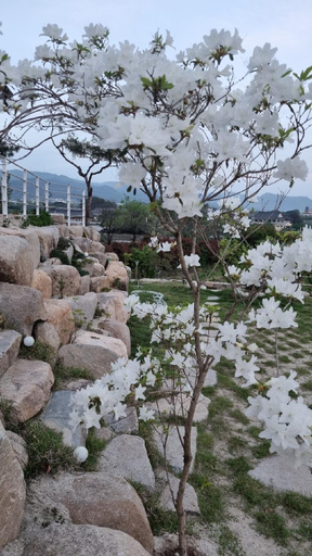 Others 5, Eodi-aeseo Watni Pension, Gyeongju