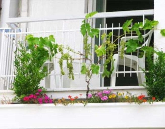 Others 5, B&B Residence Sorriso, Rimini