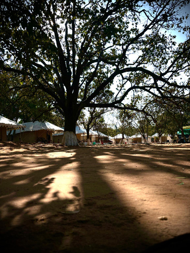 Others 2, SATPURA ADVENTURE CLUB'S LAKESIDE GLAMPING OASIS, Hoshangabad