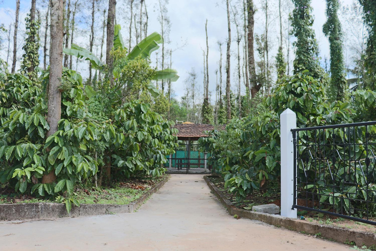 Scenery 2
