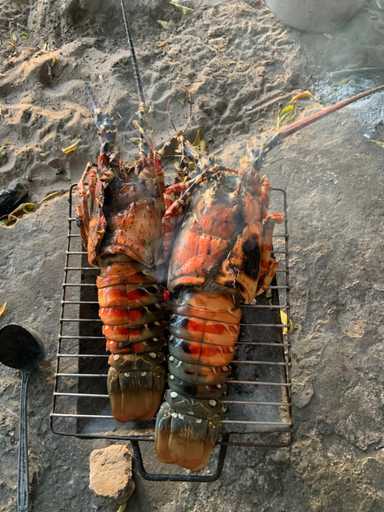 Food & Drinks 3, Maison les pieds dans l'eau (Ramena), Diana