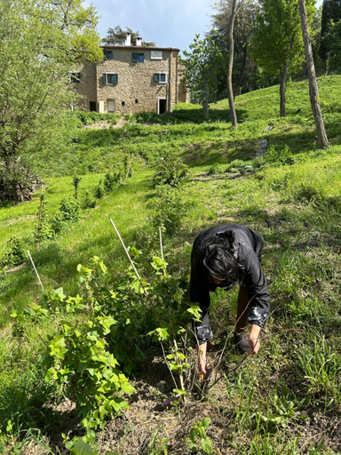 Others 4, Monte Cuccolo House B&B, Bologna