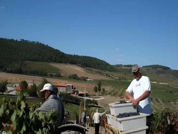 Others 3, Quinta Do Salgueiro B&B - Turismo Rural, Freixo de Espada à Cinta