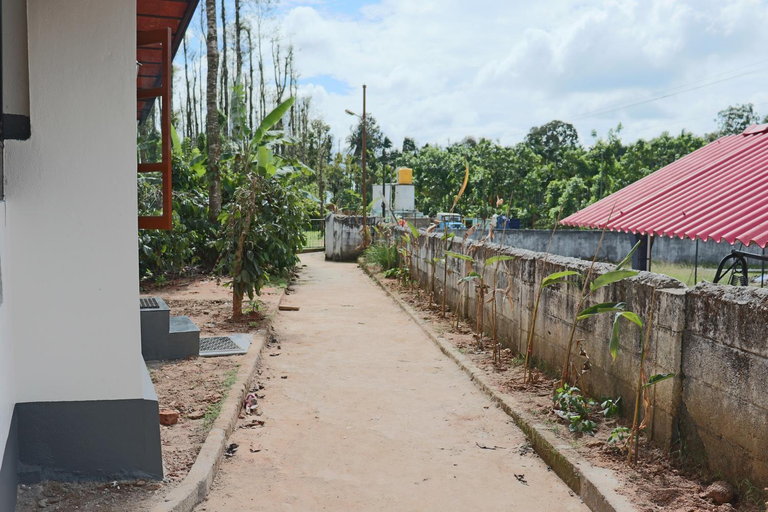 Scenery 6