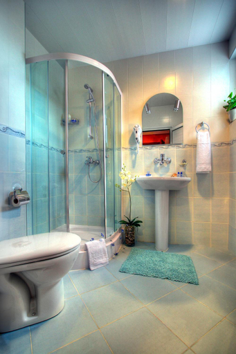 Bathroom, Family Hotel Mania, Stara Zagora