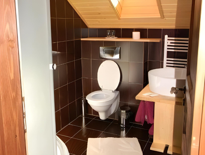 Bathroom 3, Pensiunea Terra Nova, Brezoi
