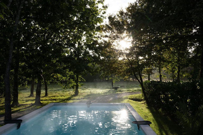 Sport & Beauty 2, L ost in Sensations - Hebergements insolites et suites de luxe spa sauna piscine foret, Gironde