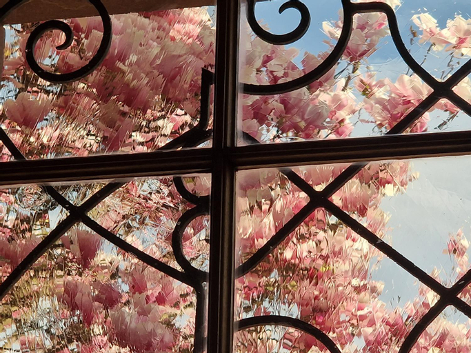 Villa Magnolia Wissembourg, Bas-Rhin