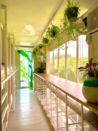 Others 3, The Hide Hostel Canggu, Badung