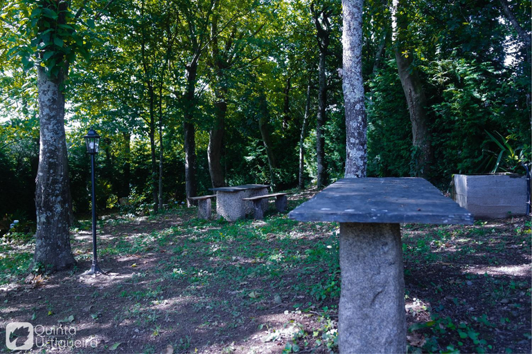 5, Quinta da Urtigueira, Felgueiras