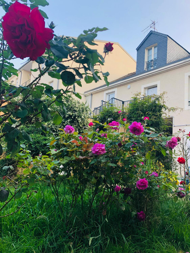 Saint denis Appartement 1, Sarthe