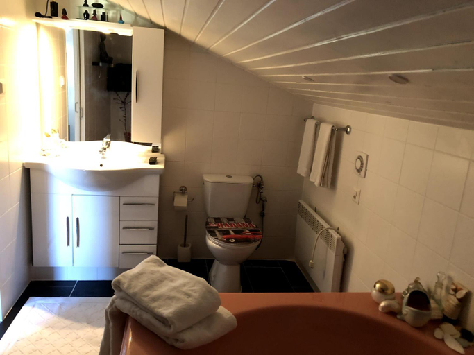 Bathroom 1, Amelia, Monthey
