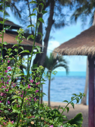 Others 5, A Little Bungalows By Beach, Ko Samui