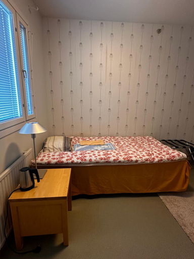 Others 4, Grand Hostel Imatra, South Karelia