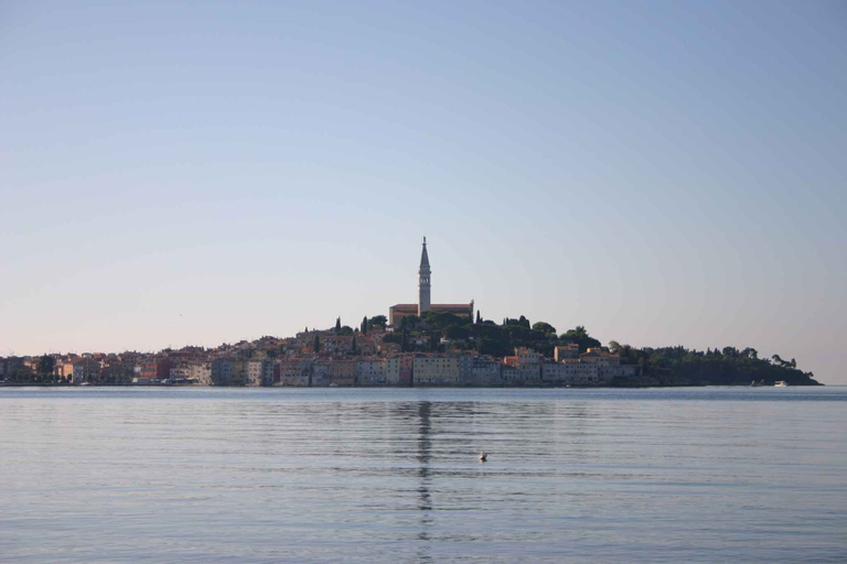 Others 5, Apartments in Rovinj/istrien 11528, Rovinj