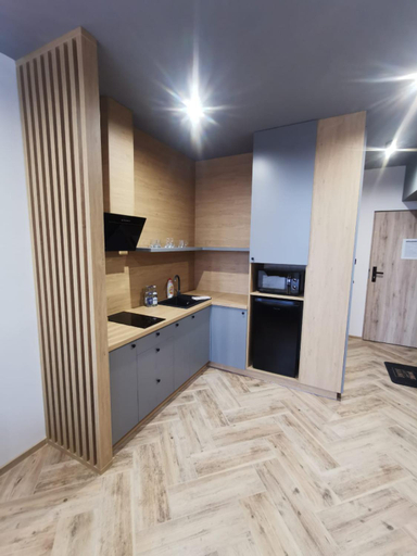 Others 5, LOFT HOUSE APARTMENTS, Przemyśl City