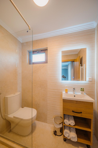 Bathroom 3, Pensiunea Regal, Sanmartin
