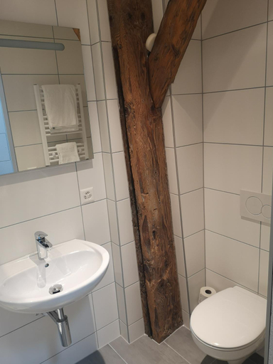Bathroom 2, Landgasthof Schwanen, Muri