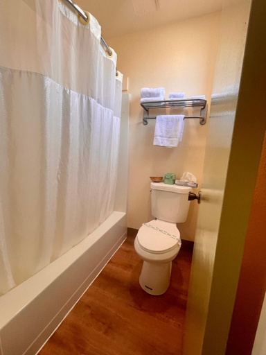 Bathroom 3, Regency Inn, Lake
