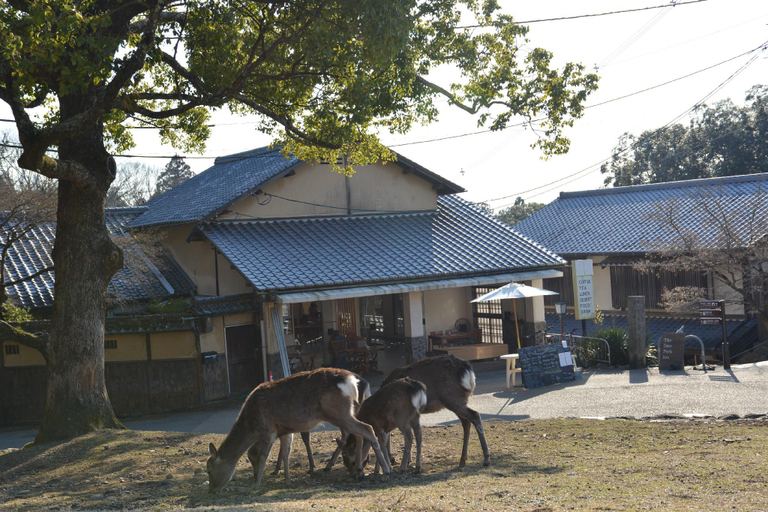 Public Area 4, The Deer Park Inn, Nara