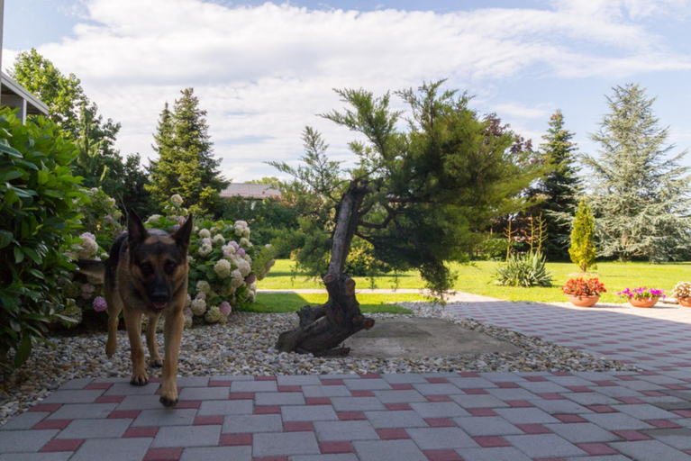 Others 5, Airport room's Residence Garden, Velika Gorica