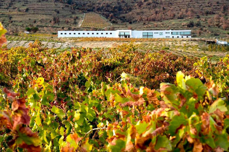 Others 3, Hotel Rural TIERRAS DE CEBREROS, Ávila