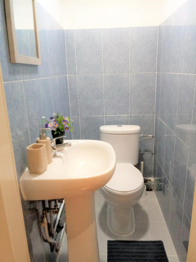 Bathroom 5, Ledi´s Housing, Lisbon