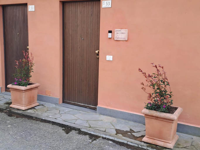 Others 5, Butterfly, Viterbo