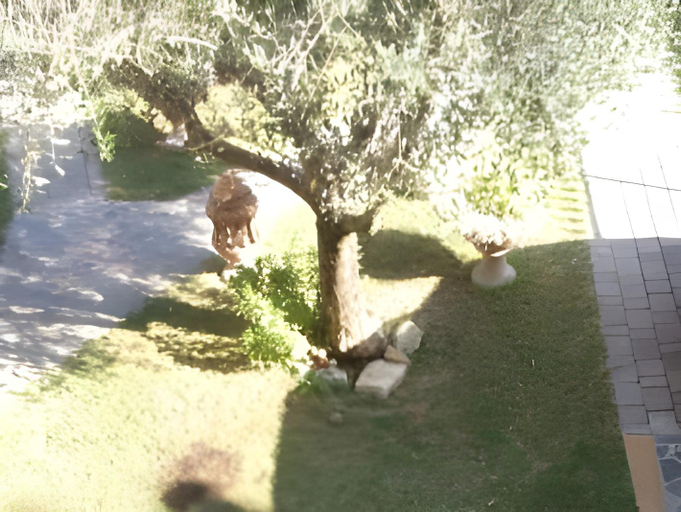 Others 2, B&B Cribo, Pisa