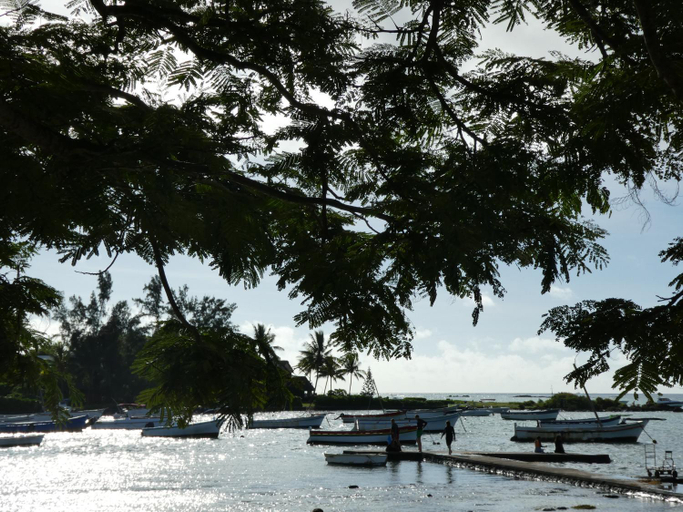Others 5, VILLA LE DAUPHIN DU LAGON BLEU - PEREYBERE - GRAND BAIE