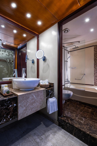 Bathroom 4, MS Esmeralda Nile Cruises, Luxor