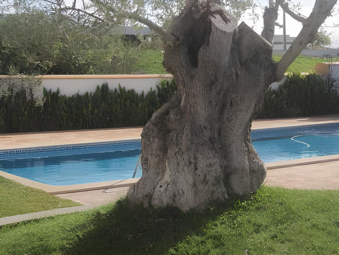Sport & Beauty 2, Outeiro Da Vila - Casas De Campo, Serpa
