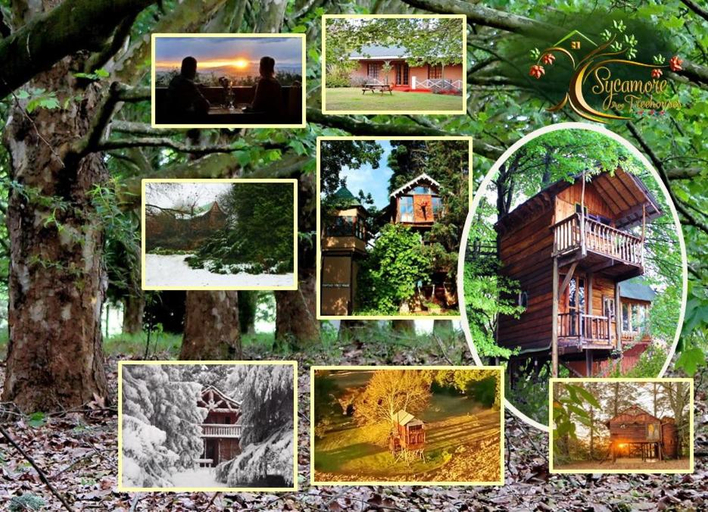 Others 5, Sycamore Avenue Treehouses & Cottages Accommodation, Umgungundlovu