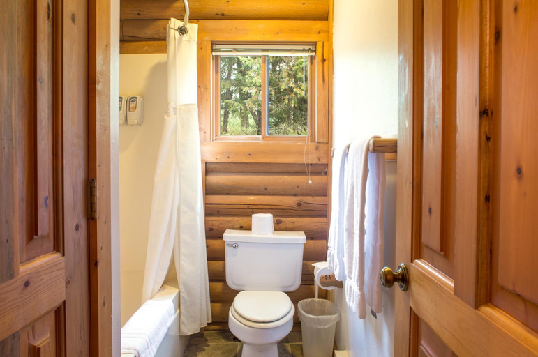 Bathroom 4, North Forty Resort, Flathead