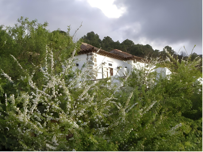 Others 3, Finca Los Ciruelos Casas Rurales, Santa Cruz de Tenerife